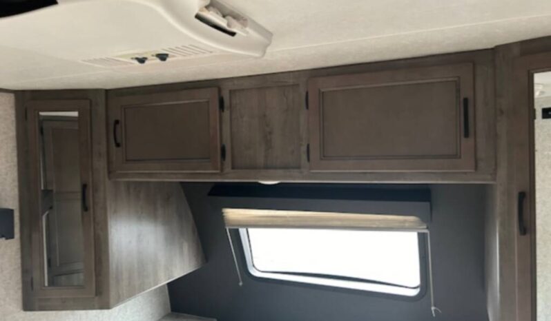 
								2021 Coachmen APEX 293RLDS Travel Trailer full									